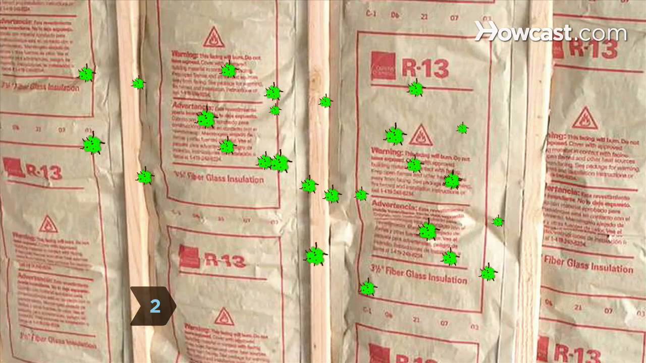 How to Get Rid of Mold