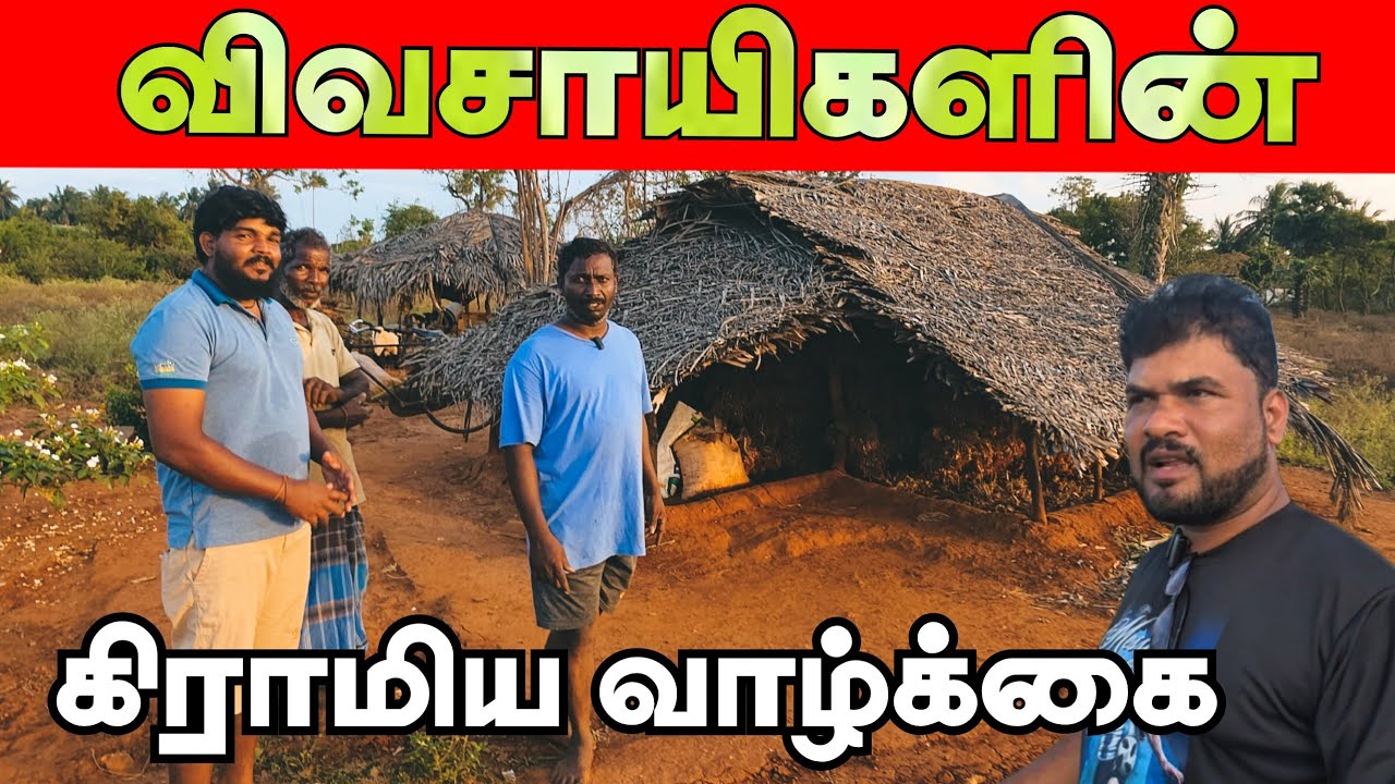 🌱உண்மையைக் கூறிய புன்னாலைக்கட்டுவன் விவசாயிகள் | Jaffna