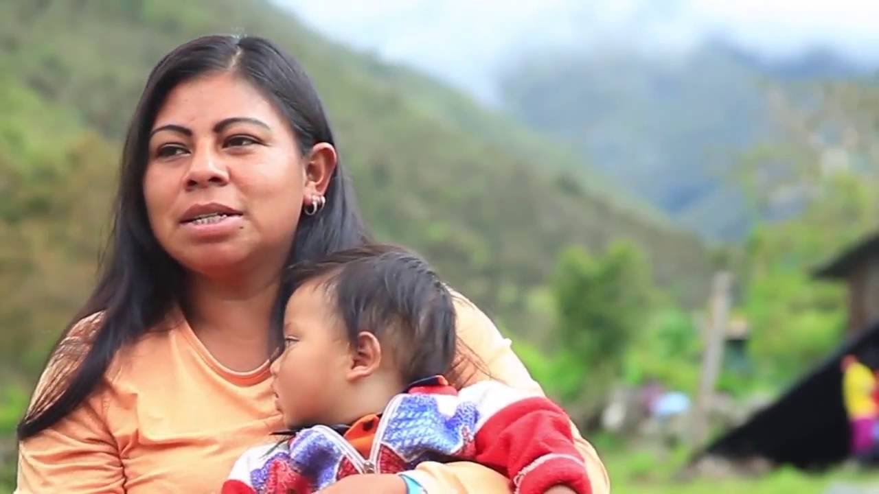 Documental Indígenas U'wa Colombia | Guardianes de la Madre Tierra