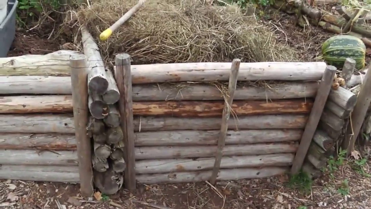 How to Store Seed Potatoes