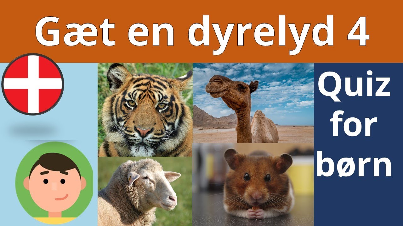 G&aelig;t en dyrelyd 4 (dyrequiz for b&oslash;rn)