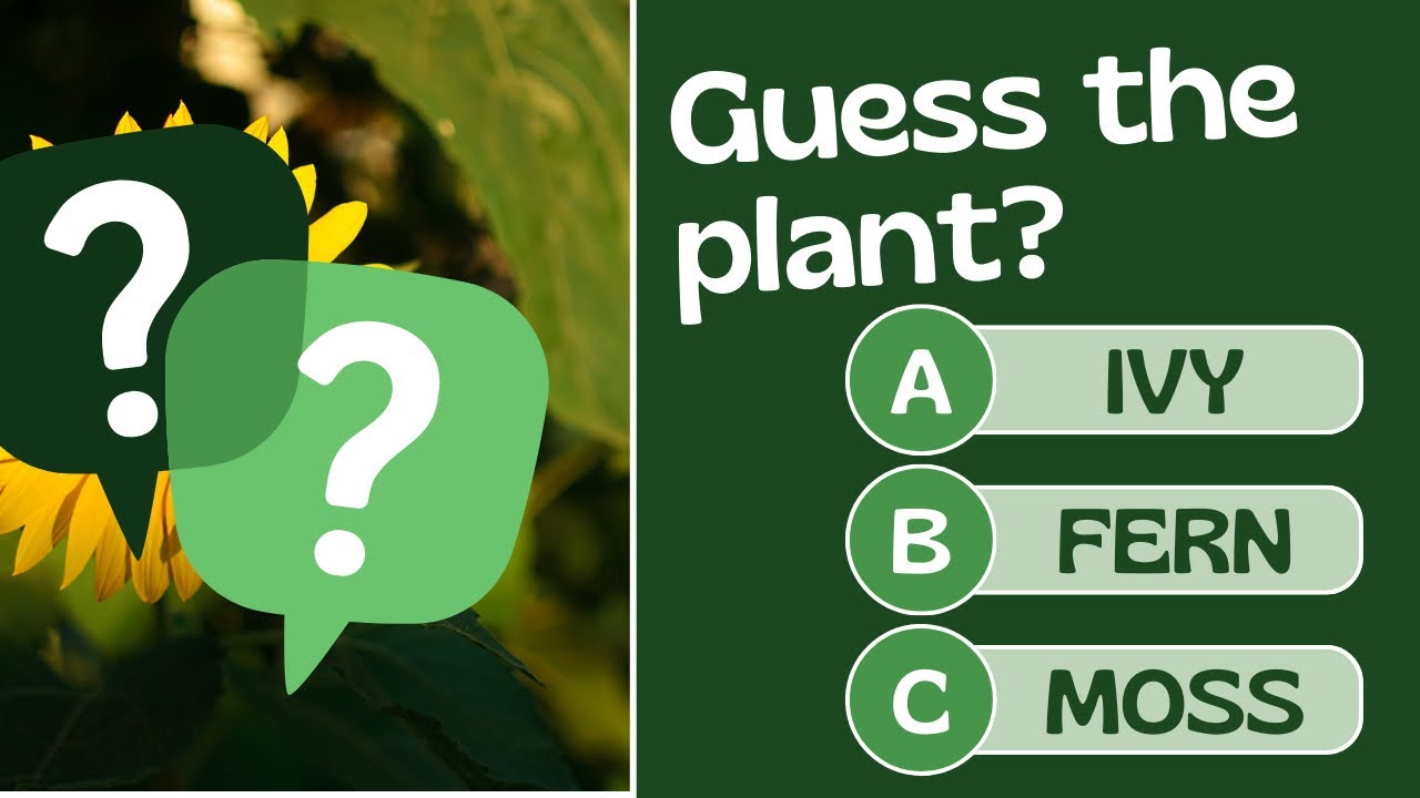 Plant Quiz Challenge 🌱 | Which Process Helps Plants Make Food? | Science Quiz