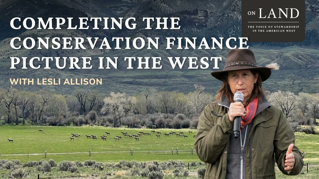 Completing the Conservation Finance Picture in the West with Lesli Allison