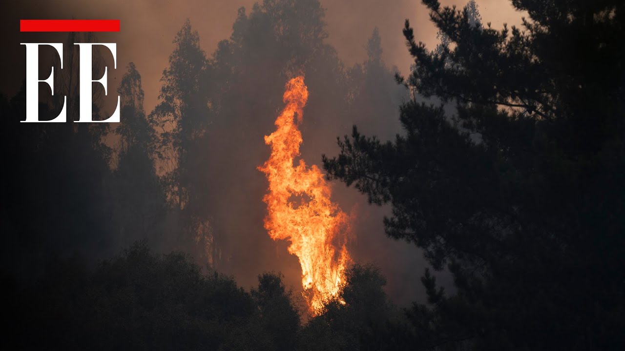 Incendios forestales en Chile: permanece detenido el principal sospechoso | El Espectador
