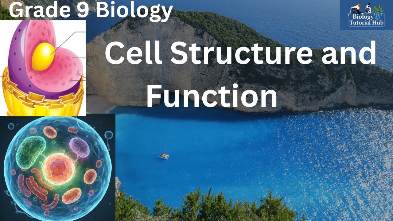 Cell Structure and Function (Grade 9 Biology)