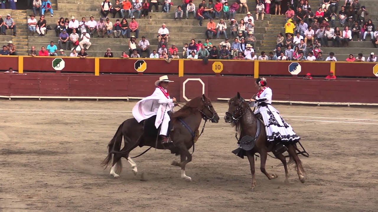 Marinera con caballos de paso peruano