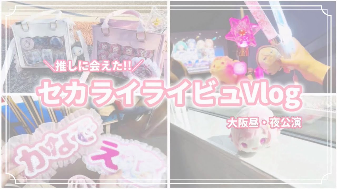 \推しに会えた!!/セカライライビュVlog♡