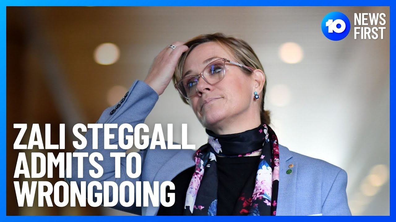 MP Zali Steggall Apologises For $100,000 Donation | 10 News First