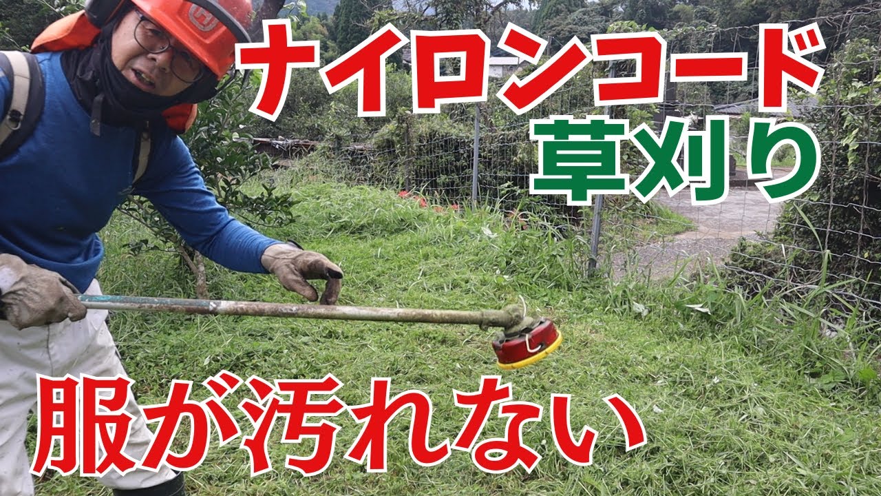 ナイロンコードで服が汚れない草刈り方法をやってみた！彼岸花クイズ