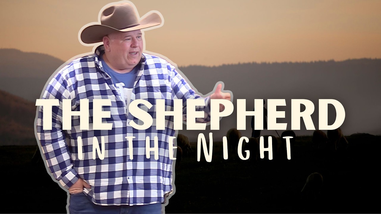 The Shepherd in the Night