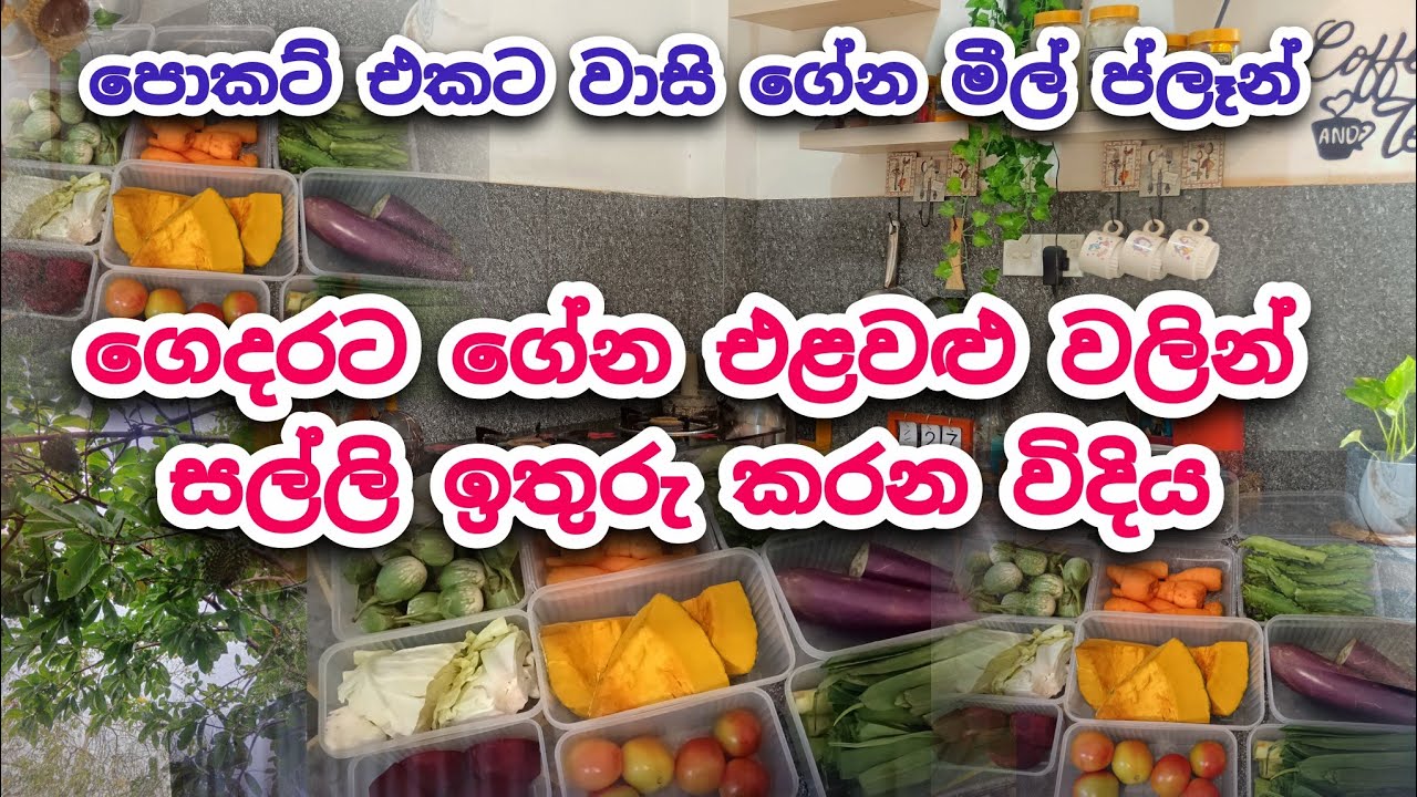 එළවළු ගන්න ගමන් ඉතරුත් කරමුද 🥰🥰#dayvlog #home #homedecor #motivation 