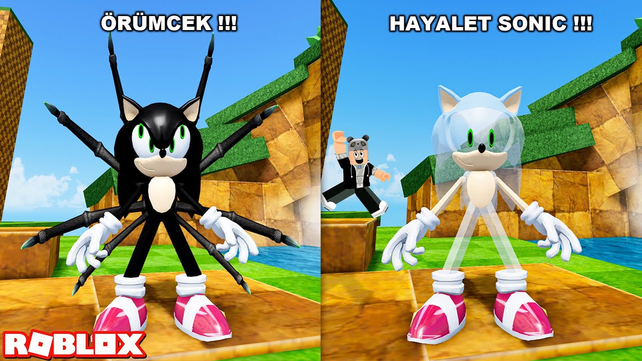 Bütün Sonicleri Buldum!! - Panda ile Roblox Find The Sonic Morphs