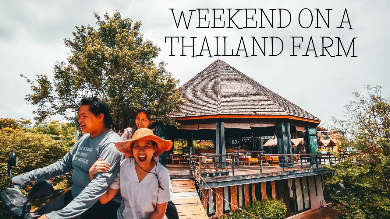 Escape to RAI RUEN ROM a weekend at an ORGANIC FARM in Chiang Rai