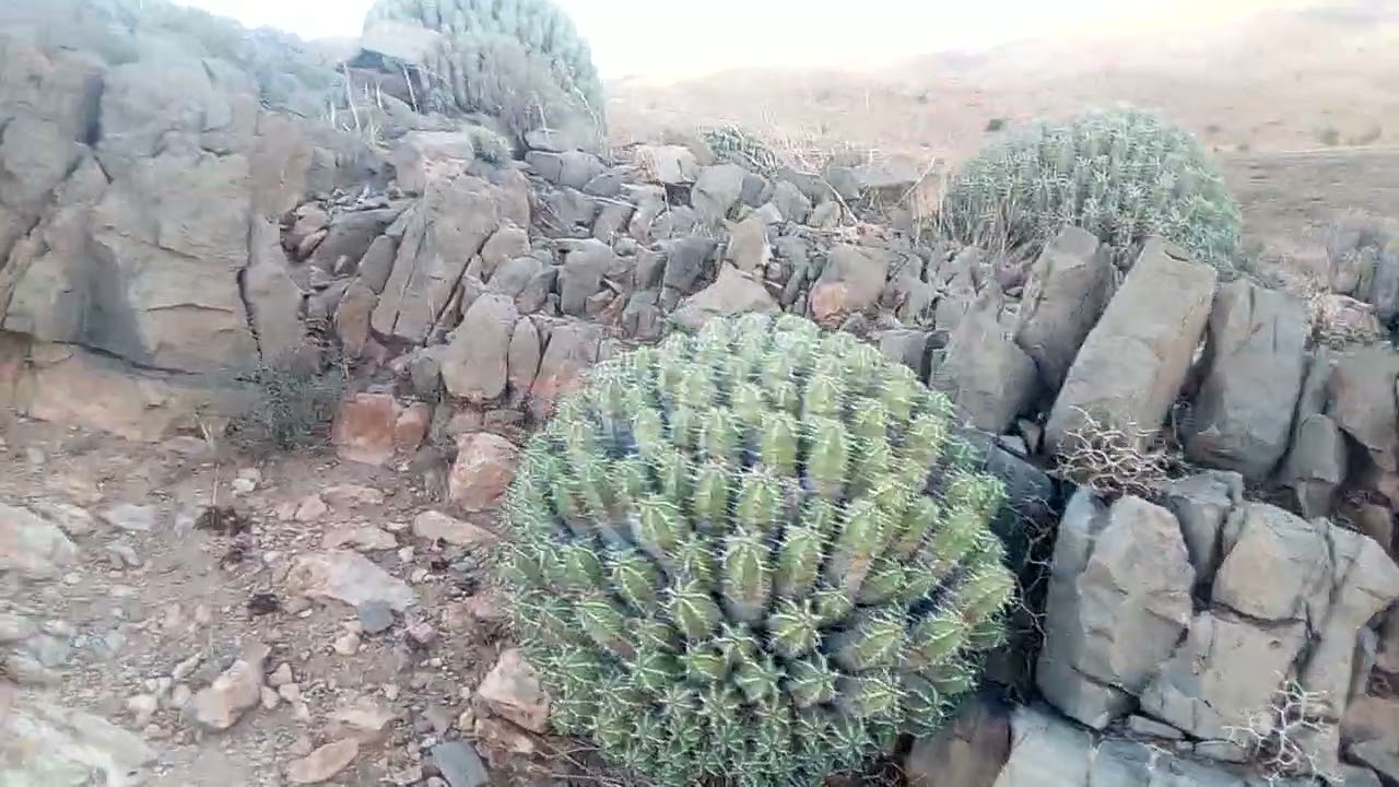 جولة في جبال الاطلس الصغير