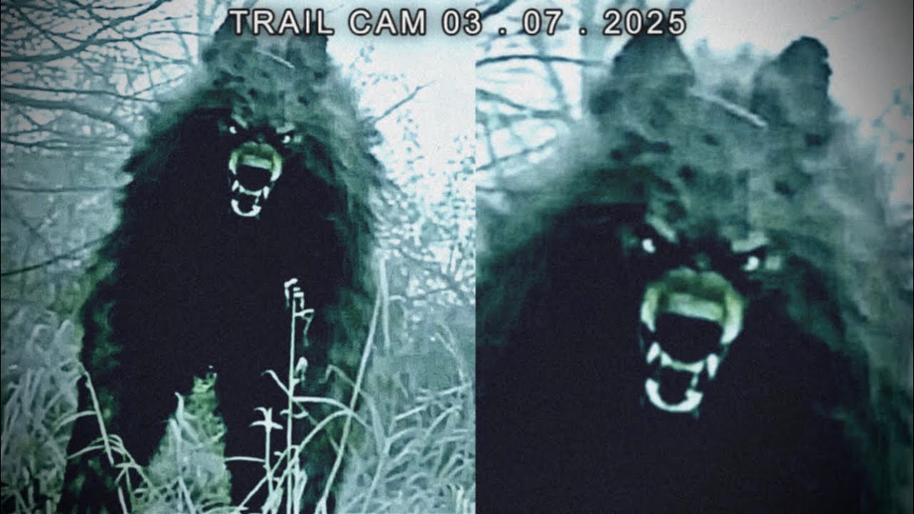 Самые тревожные существа, запечатлённые на Trail Cam в 2025 году