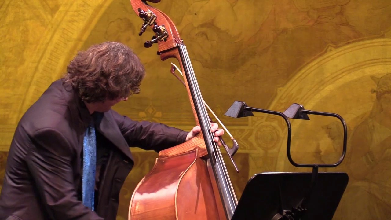 Trio ARTPASSION Impressionen Konzert 8.1. 2017