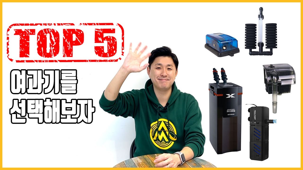 어항 여과기 선택하기! 용도에 맞게 사용합시다! [#애니몰로tv]