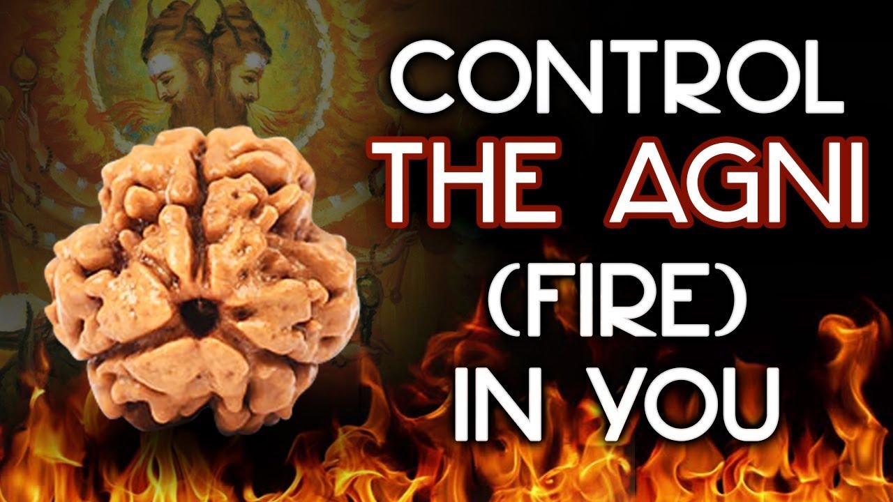 3 Mukhi Rudraksha | How to use Three mukhi Rudraksh | 3 mukhi Rudraksha ke fayde (Eng Subs)