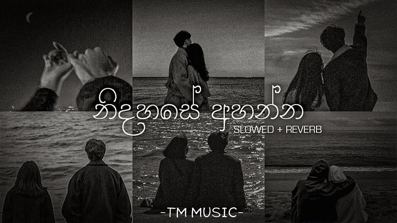 නිදහසේ අහන්න sinhala slowed + Reverb (Collections)  -TM MUSIC-