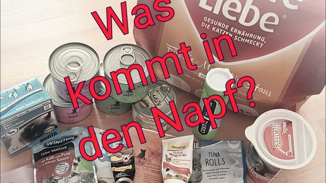Katzenfutter, Wahre Liebe und Co.