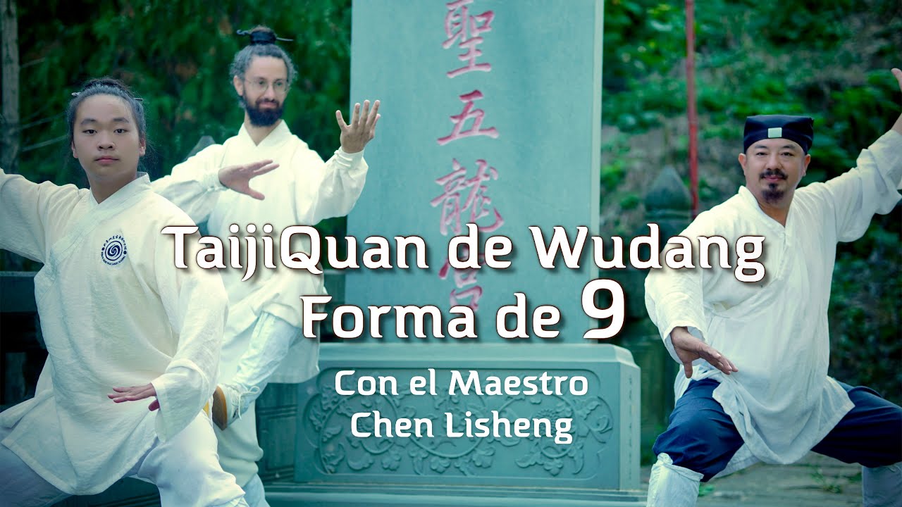 WUDANG TAIJIQUAN | Forma de 9 movimientos con mi Maestro CHEN LISHENG | Xuanwupai / 武当玄武派太极拳九式