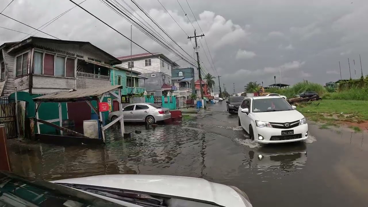 🇬🇾🇬🇾💯🙏♥️😡