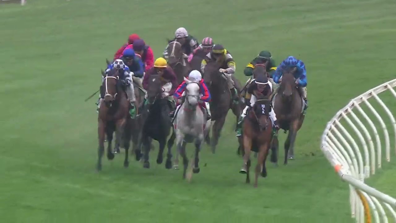 Matriarch Stakes 2025 - SUNSET PARK (4 года и старше, SWP G2 M), Группа 2, Флемингтон, 8 ноября