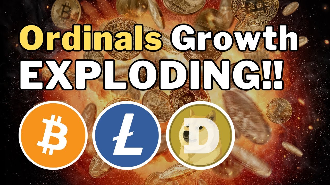 Ordinals BRC 20 Explained!! 🚀 (LRC 20 and DRC 20 Next??)
