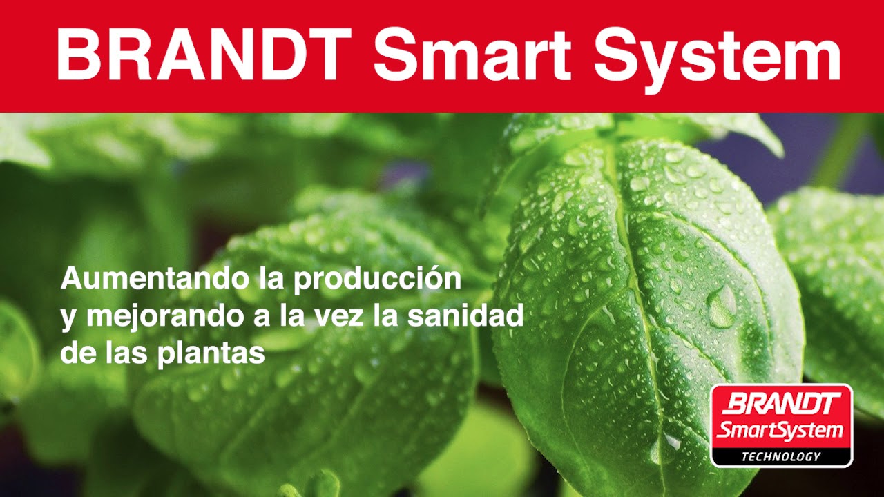 BRANDT Smart System, nutrición foliar inteligente