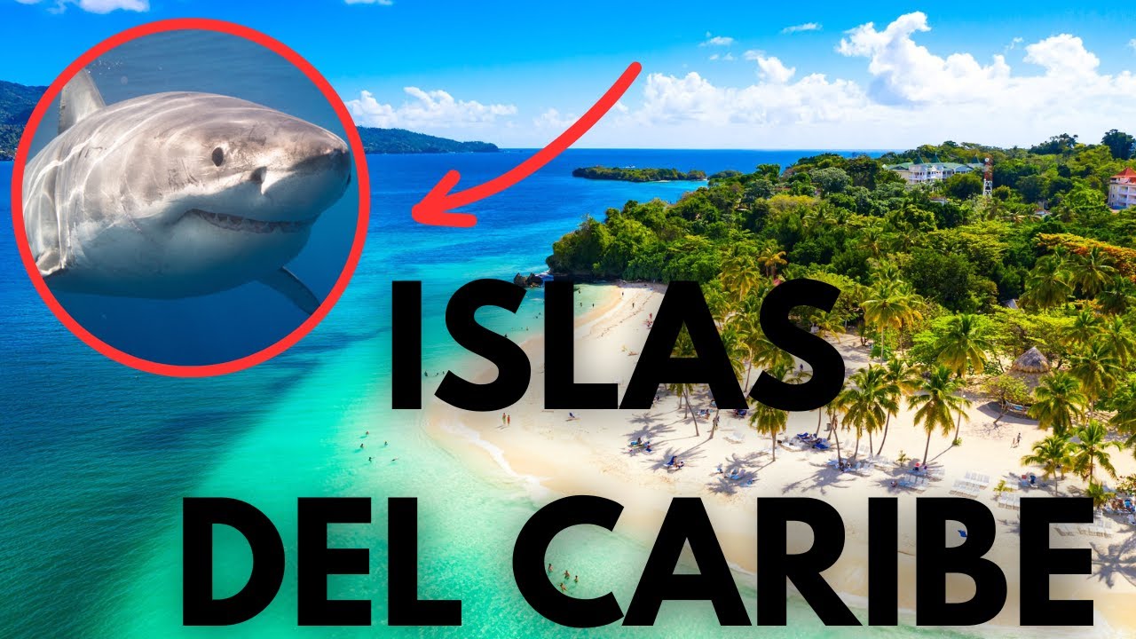 &iquest; Cu&aacute;l es la MEJOR ISLA del CARIBE ? El PARAISO Caribe&ntilde;o