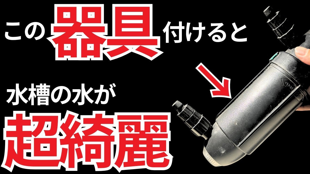 【本当に効果がある】厄介な水槽のコケやアオコ、観賞魚の病気まで抑制する、最強水槽用品はこれです