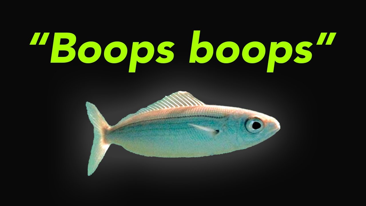 The Art and Science of Naming A New Species