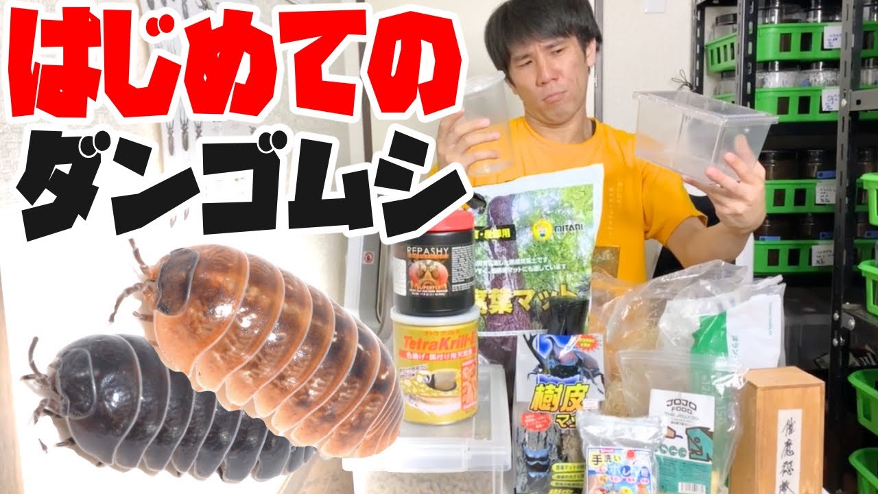 カメラマンにダンゴムシの飼育セット作りを任せてみた結果