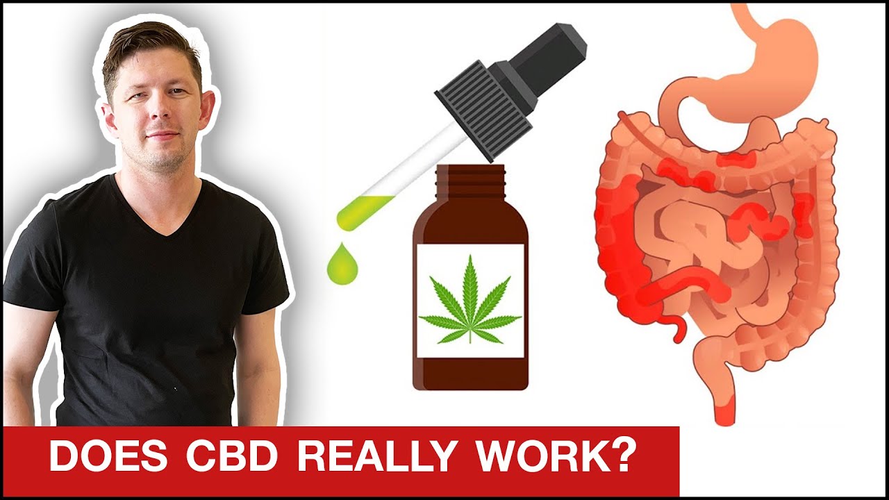 Will CBD OIL Heal Your Gut? || IBS, Crohn's, Colitis or Leaky Gut