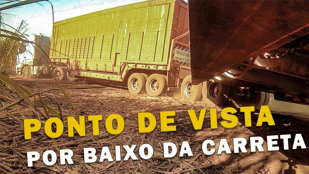 PUXANDO CANA EM SERTÃOZINHO SP - VIDA DE CANAVIEIRO