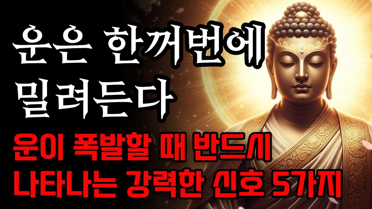 운이 폭발할 때 반드시 나타나는 강력한 신호 5가지, 운은 한꺼번에 밀려든다 | 부처님 말씀