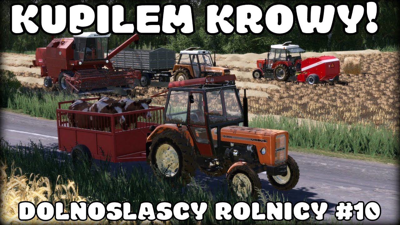 DOLNOŚLĄSCY ROLNICY #10 ♦ KUPNO KRÓW! ♦ PRASOWAINE & WIELKIE ŻNIWA ♦ FS 19