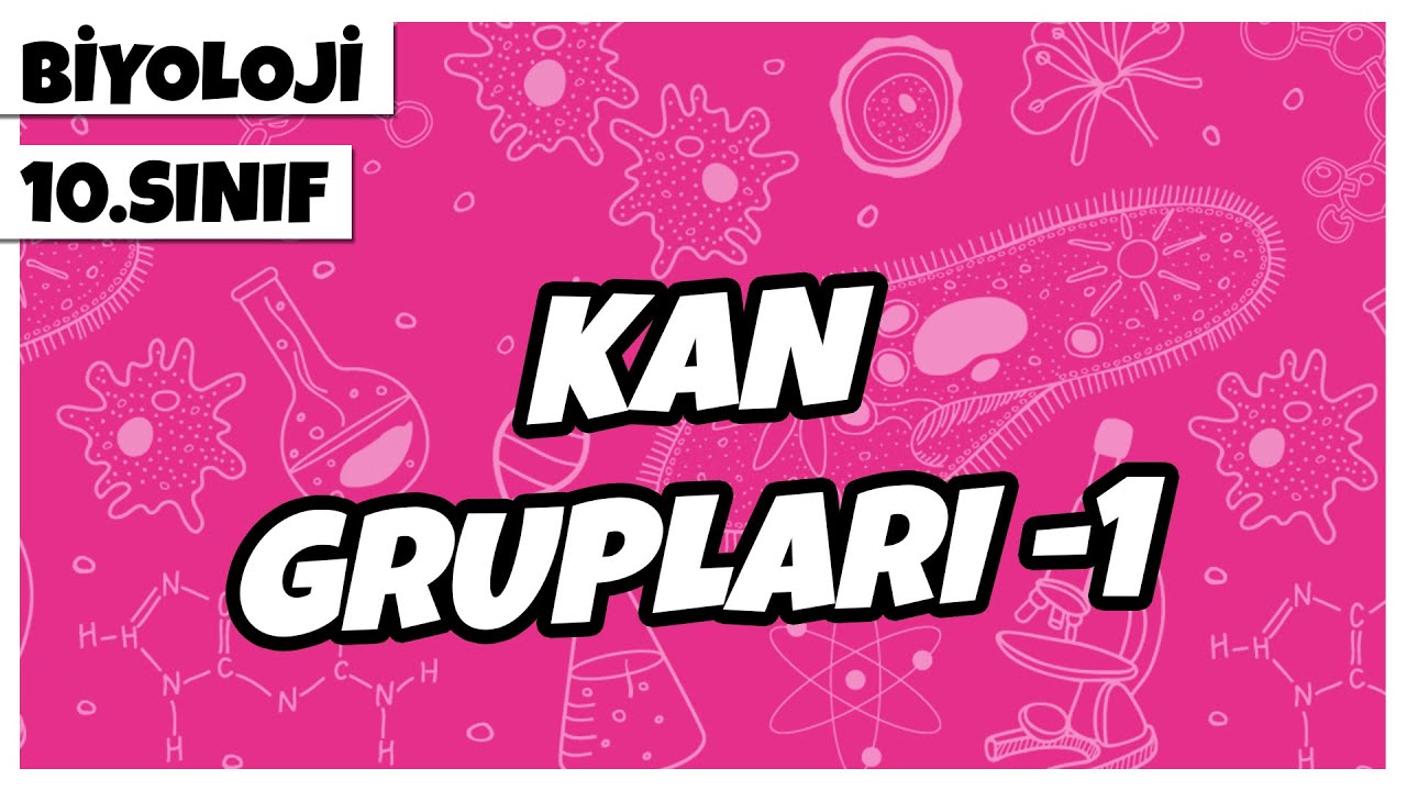 10. Sınıf Biyoloji - Kan Grupları -1