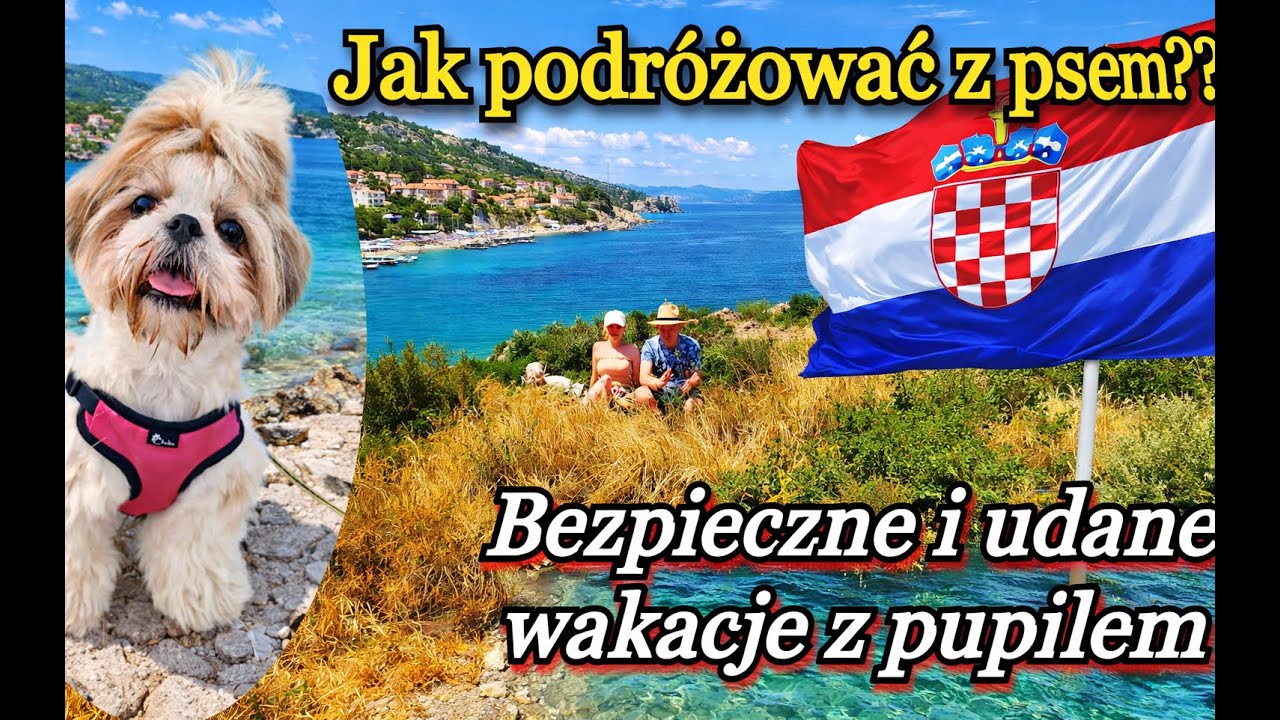 CHORWACJA Jak podróżować z psem? Jak przygotować psa do wyjazdu? WAKACJE SAMOCHODEM 2023 Informacje