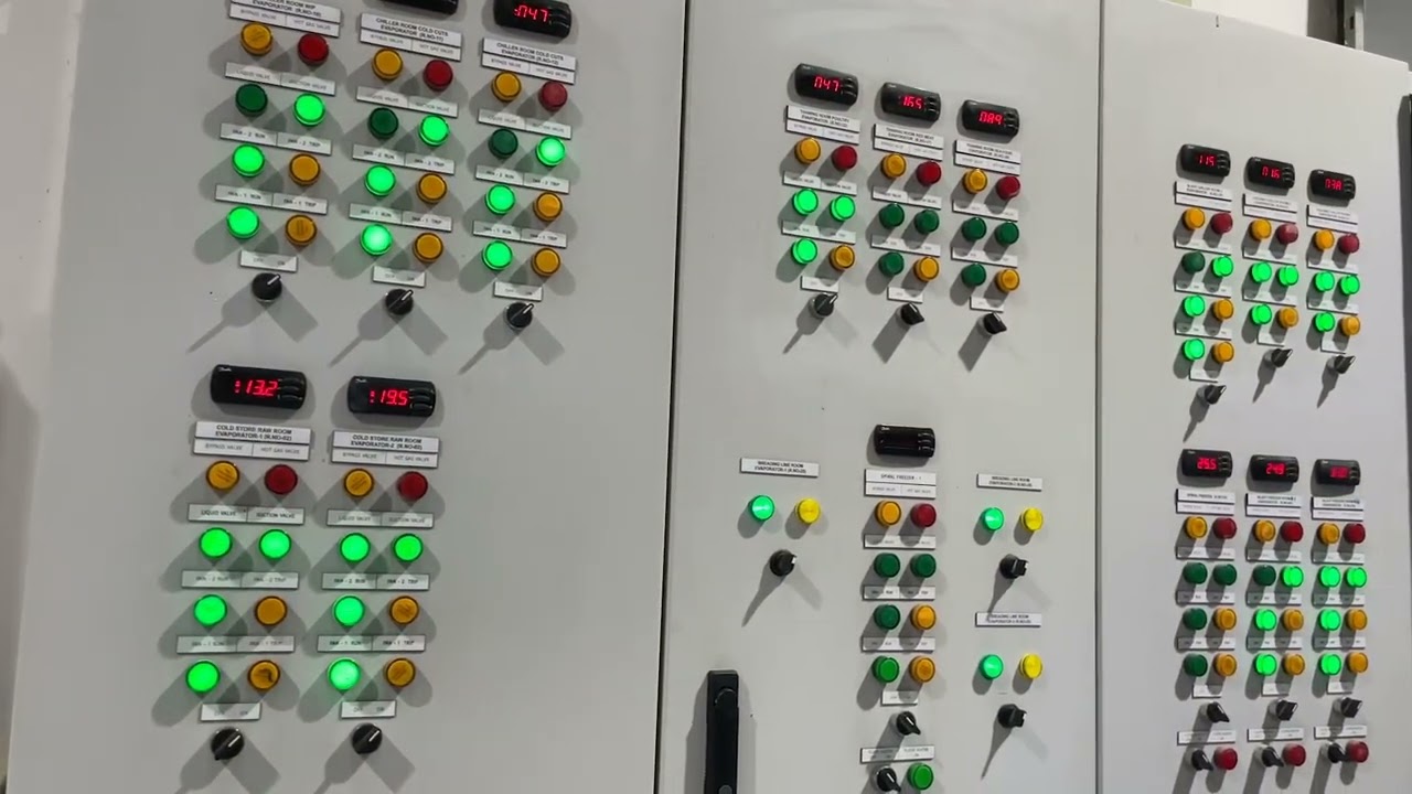 Cold Storage Project for a Food Processing Plant in DIP | Thermozone