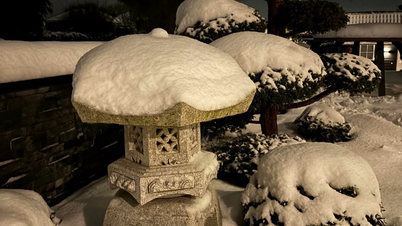 KoiCave WINTERTIME!