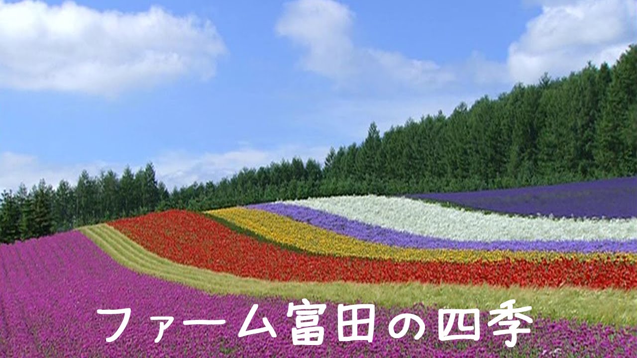 ファーム富田の四季【公式】