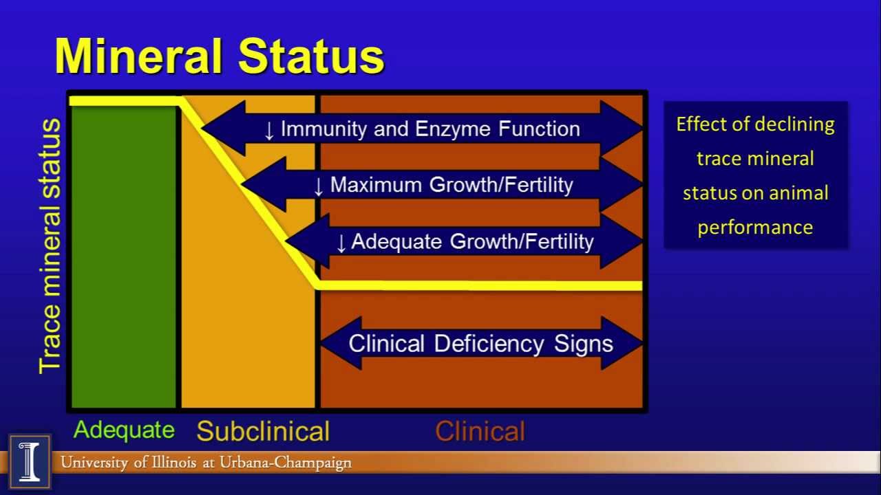 Minerals and Reproduction