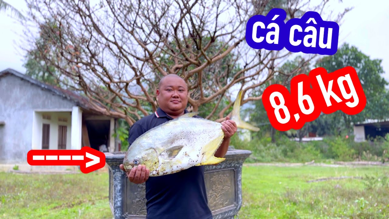 Bồi Dưỡng Sức Khoẻ Bằng Con Cá Siêu To Khổng Lồ Câu Dưới Biển | Son Duoc Vlog 132