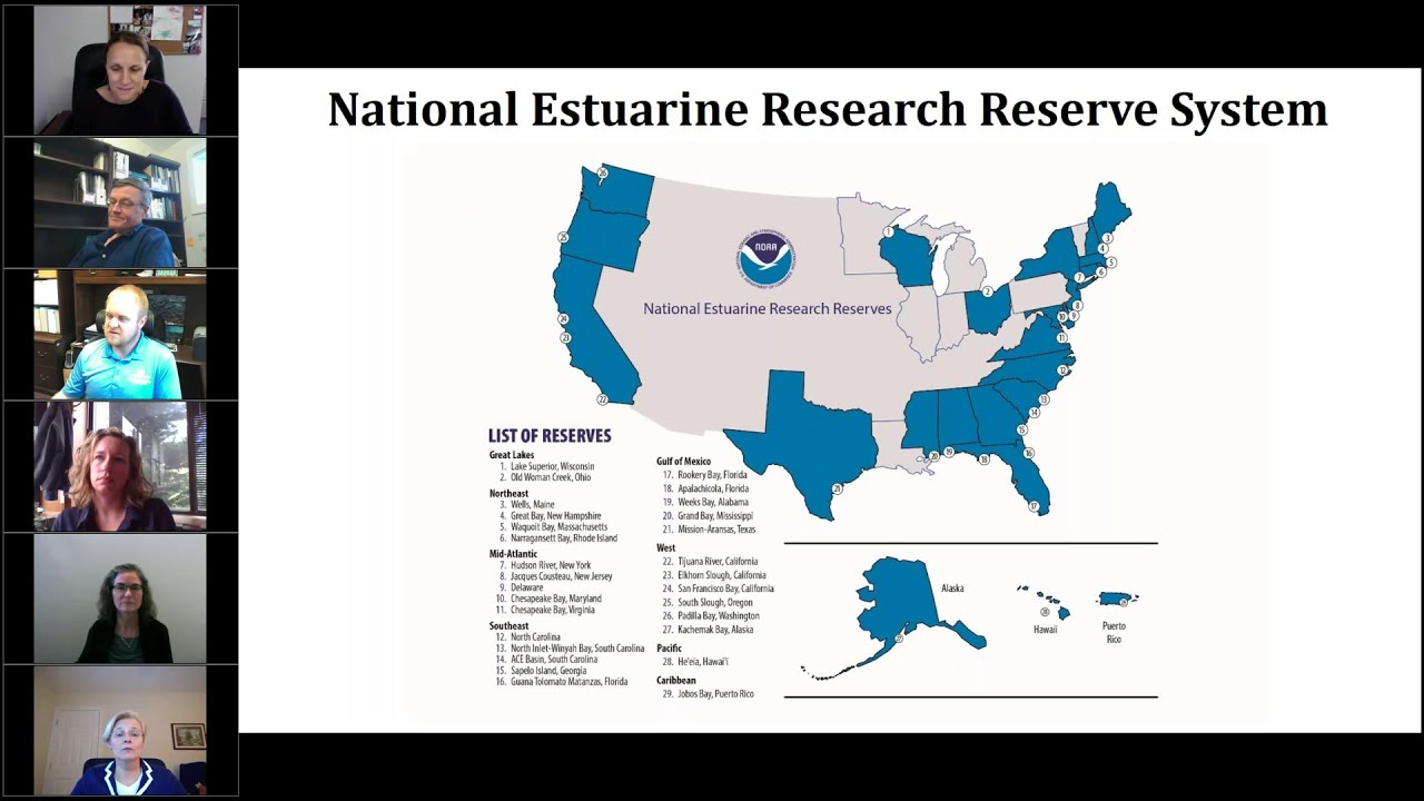 New Research to Inform Living Shoreline Design, Placement and Monitoring