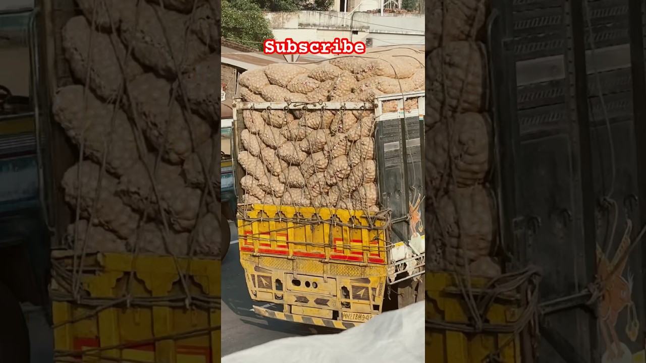 Rice Transport Odisha To Chhattisgarh