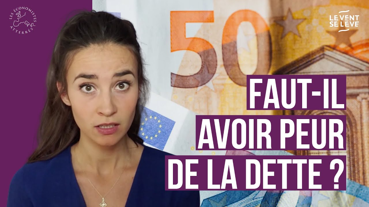 FAUT-IL AVOIR PEUR DE LA DETTE ?