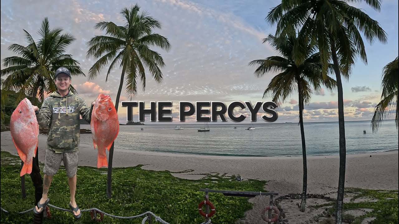 10 Days fishing at Percy Island | Insane catches