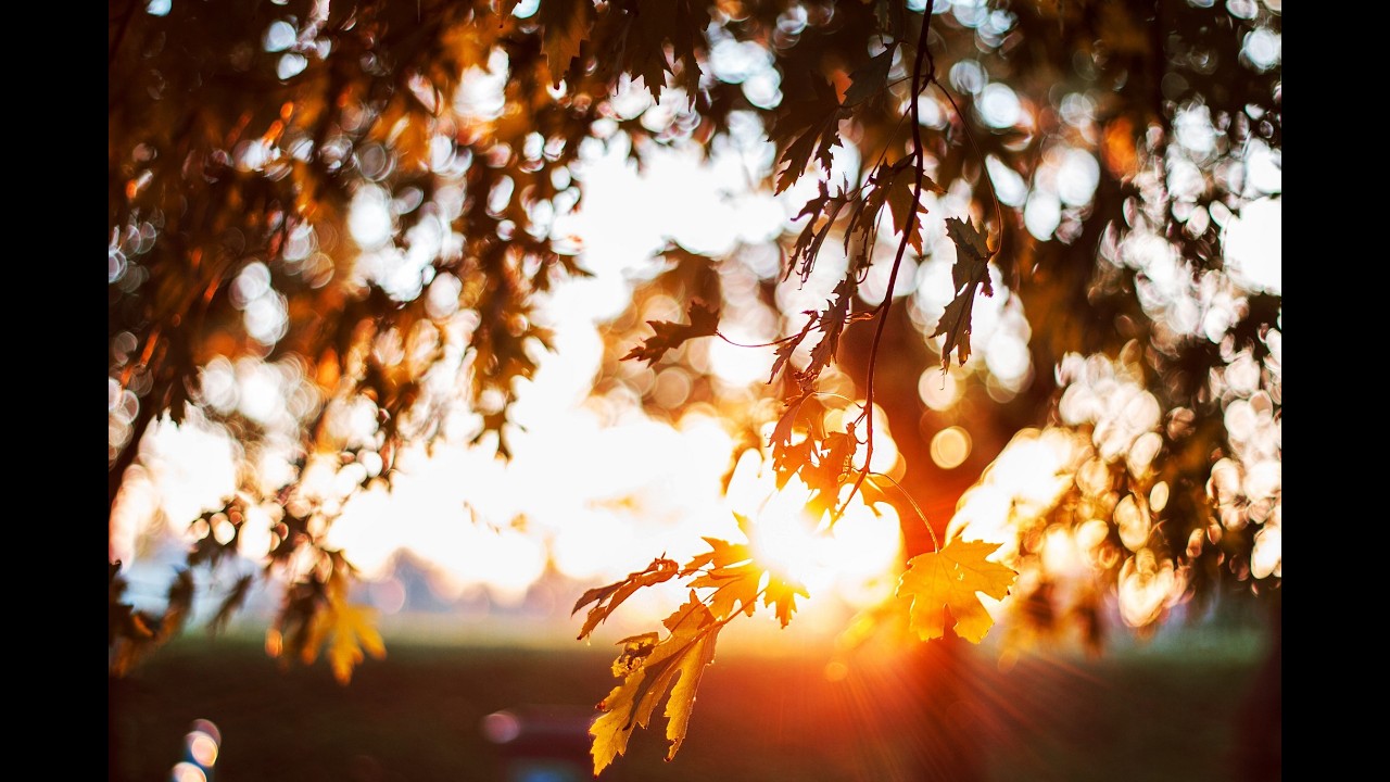 Kanlungan  ( Rock Cover )