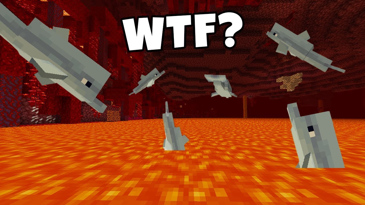 Minecraft WTF Moments That WIll BLOW Your MIND #5